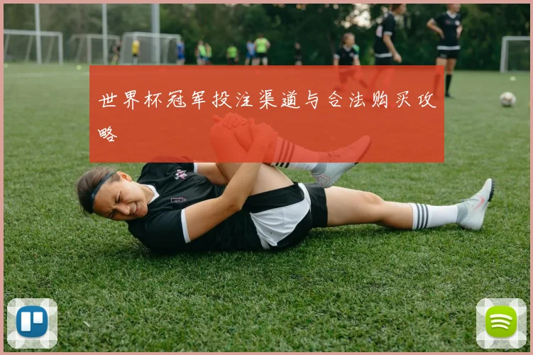 世界杯冠军投注渠道与合法购买攻略